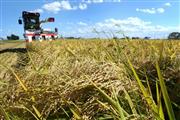 コメなどの分野では輸出拡大を通じた地域の収益力強化を進める