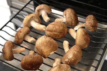 焼きシイタケのみぞれあえ（作り方１）＿＿シイタケはグりルで焼く。