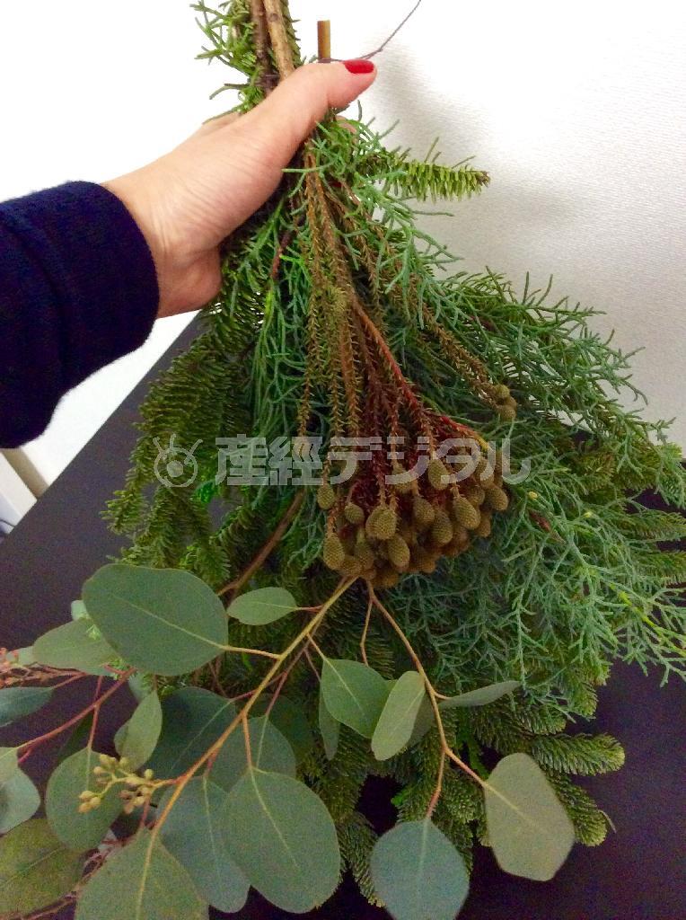 （手順２）重ねた枝の上に、流れの出るように実つきのユーカリポポラスを重ね、さらにニュアンスをだすためにバーゼリアを入れて整える（花千代さん提供）