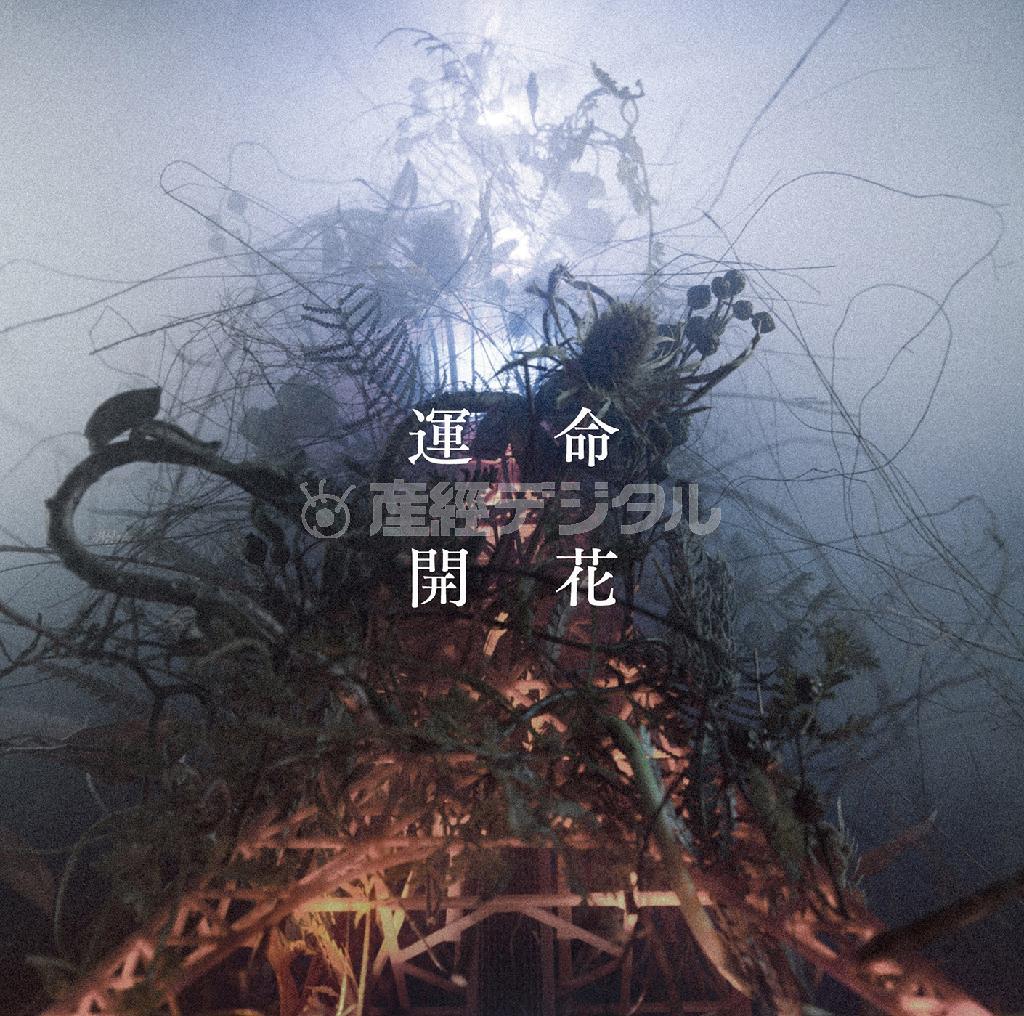 ＴＨＥ＿ＢＡＣＫ＿ＨＯＲＮ「運命開花」。発売中（提供写真）