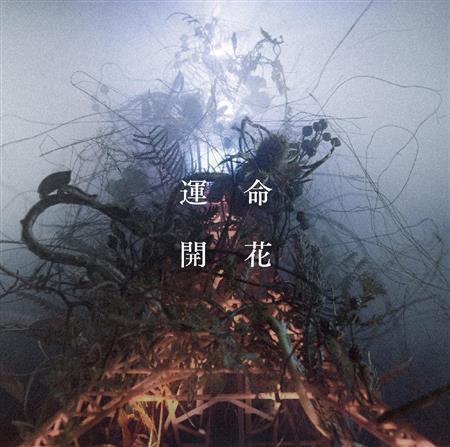 ＴＨＥ＿ＢＡＣＫ＿ＨＯＲＮ「運命開花」。発売中（提供写真）