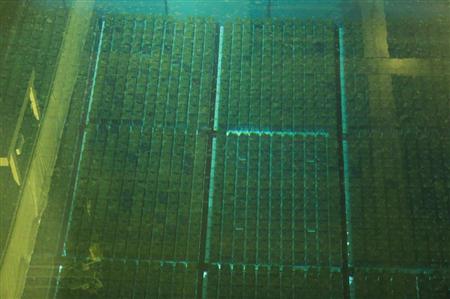 日本原燃の再処理工場の貯蔵プールで管理されている使用済み核燃料＝青森県六ヶ所村（ＡＰ）