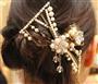 ヘアアクセサリーは重ね着けしてゴージャスに。コンプレックス＿ビズのグラスコーム（左、１万９０００円）とデザートクリップＳサイズ（右、８５００円）＝２０１５年１１月２６日、東京都中央区銀座（荻窪佳撮影）