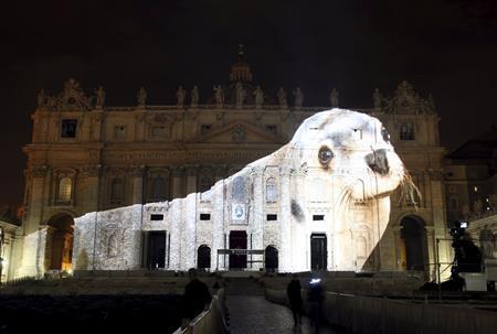 サンピエトロ大聖堂の正面に移し出されたアザラシ＝２０１５年１２月８日、バチカン（ロイター）
