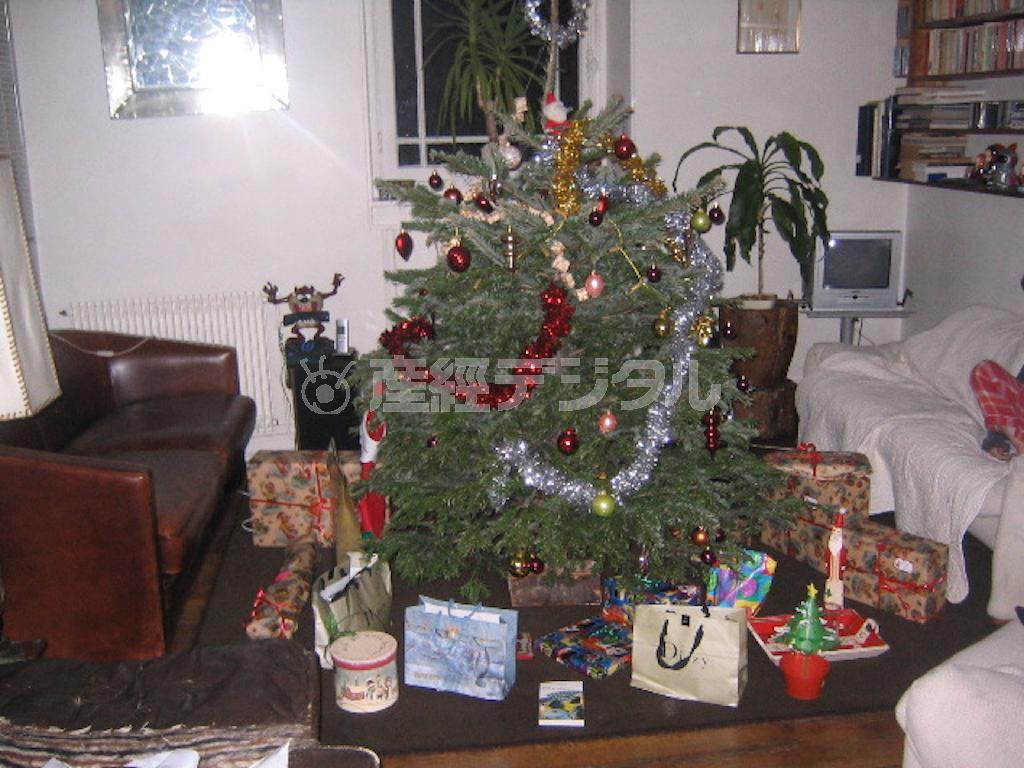 平和な気持ちで迎えた、数年前のクリスマス。この時のような平静さが戻ることを願って止みません＝２００６年１２月２５日、フランス・首都パリ（クレモンティーヌさん提供）