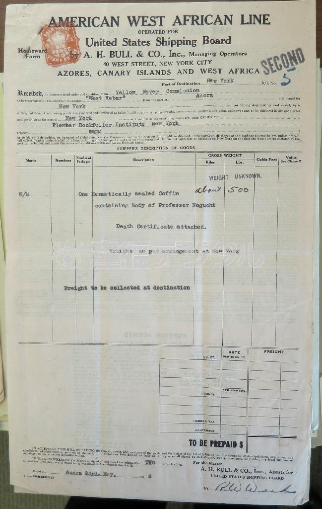 野口英世（１８７６～１９２８年）の遺体をアフリカから米国に運んだ際の船荷証券。ロックフェラー公文書センターに保管されていた＝２０１５年１１月２日（共同）