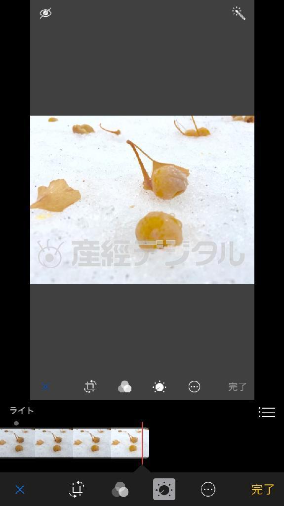 【手順３】「ライト」というアイコンが出てきます。その機能を使って適性な露出に合わせることもできます（野口隆史さん撮影）