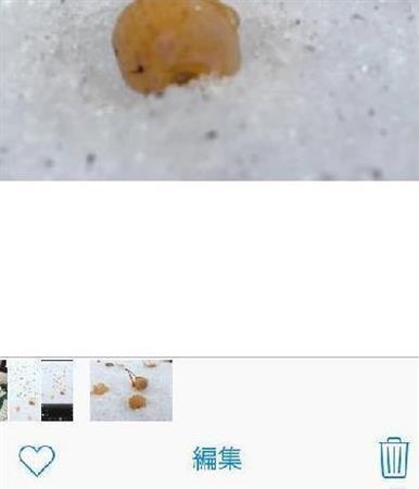 【手順１】編集するモードがついています。画面上でお気に入りの写真を選ぶと、下に「編集」の文字を読み取ることができます（野口隆史さん撮影）