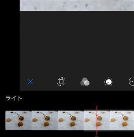 【手順２】「編集」をクリックするとタイマーのようなアイコンが出てきます。さらにそれをクリックすると「ライト」というアイコンが出てきます（野口隆史さん撮影）