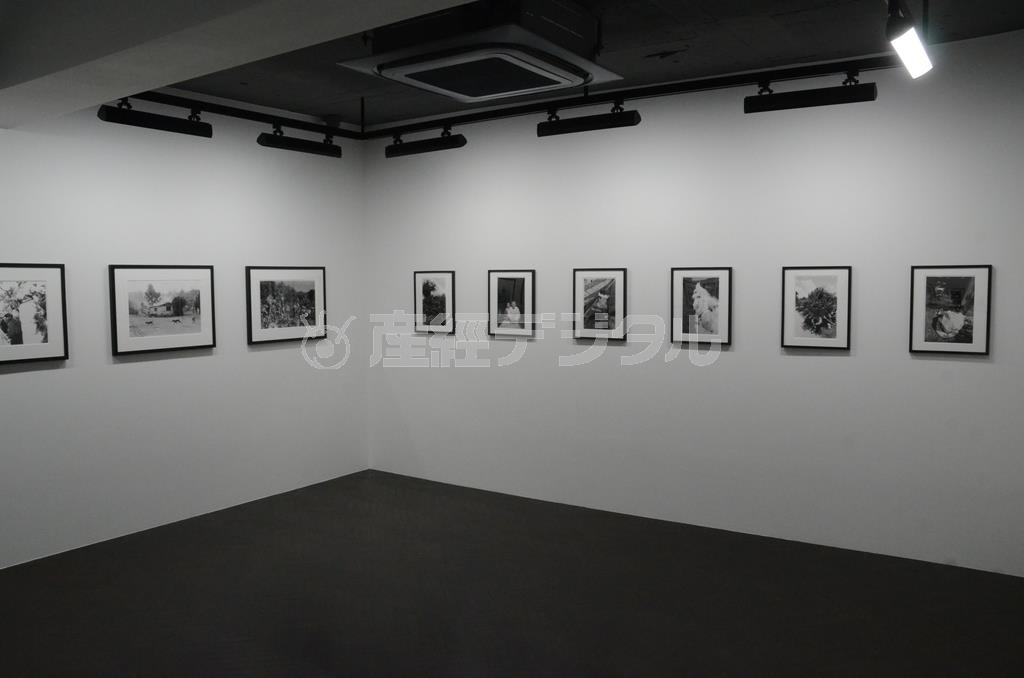 東松照明の作品の展示風景＝２０１５年１２月２４日（原圭介撮影）