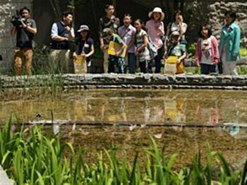 アークヒルズ仙石山森タワーの「こげらの庭」＝東京都港区