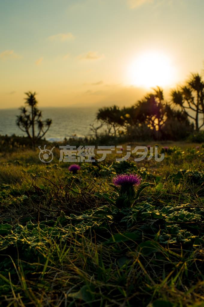 石垣島西端の御神崎灯台から見る夕暮れ＝沖縄県石垣市（永山真治さん撮影）