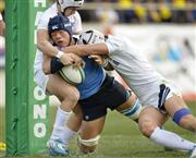 ５点リードされていた前半２９分、執念のトライを決めて嫌な雰囲気を一変させた東海大仰星の真野泰地（まの・たいち）主将＝２０１６年１月１１日、大阪府東大阪市の花園ラグビー場（共同）