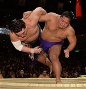 日馬富士（はるまふじ、左）を豪快に投げ飛ばした松鳳山（しょうほうざん）＝２０１６年１月１１日、東京都墨田区の両国国技館（今野顕撮影）