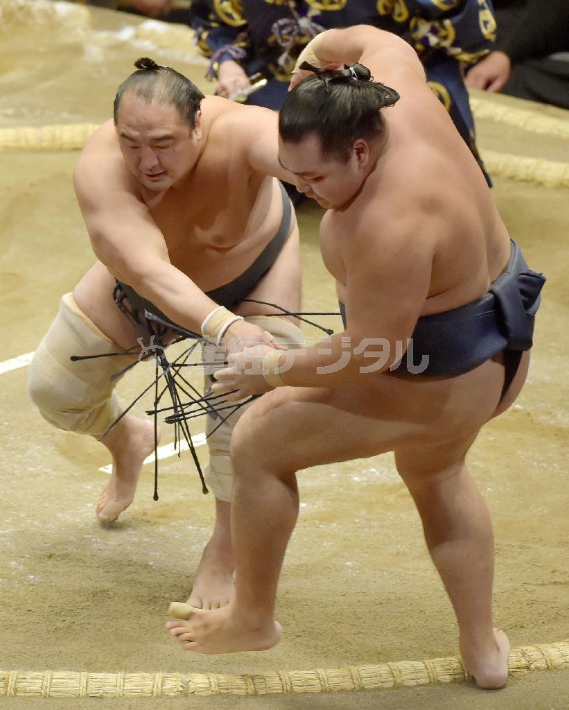 安美錦（あみにしき）が押し出しで鶴竜（かくりゅう）を破る＝２０１６年１月１２日、東京都墨田区の両国国技館（共同）