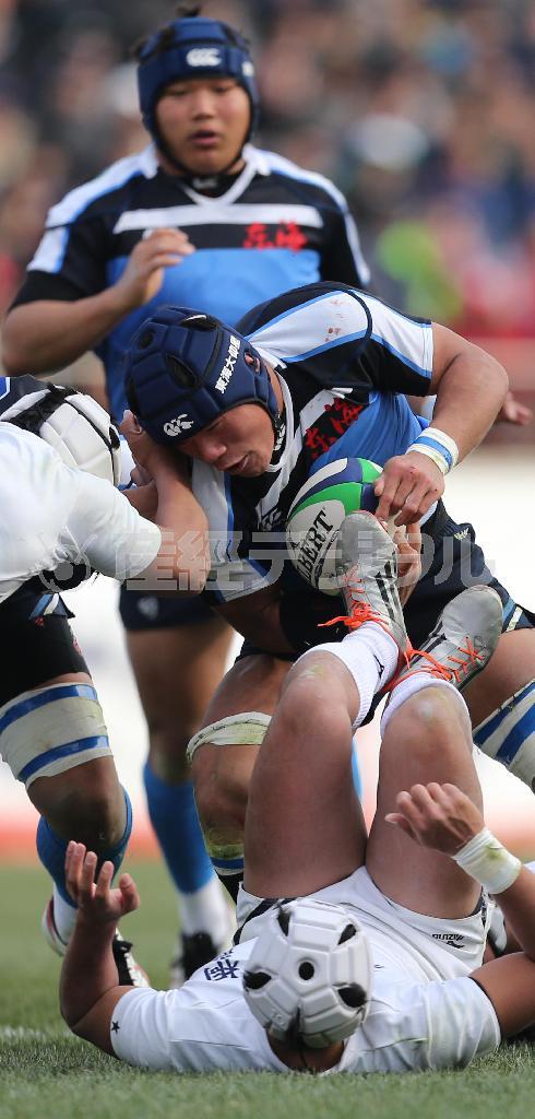 決勝前半２９分、東海大仰星（ぎょうせい）の主将真野泰地（まの・たいち）が突進に次ぐ突進でトライを挙げた＝２０１６年１月１１日、大阪府東大阪市の花園ラグビー場（山下香撮影）