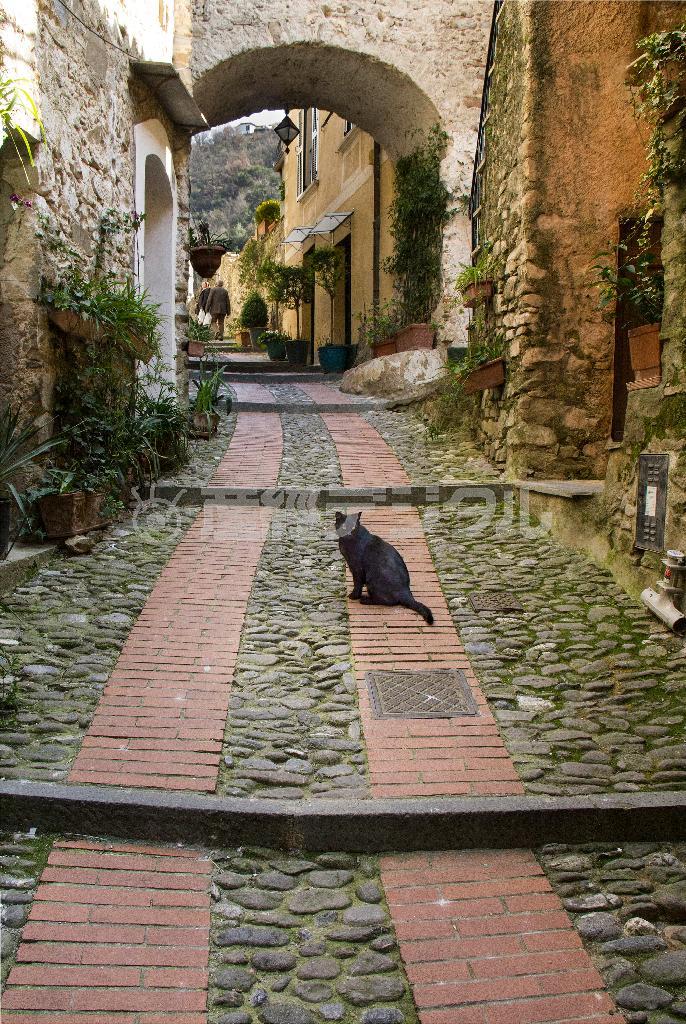 昔の面影を残したドルチェアクアの情緒ある路地＝イタリア・チンクエテッレ（酒井久美子さん撮影）