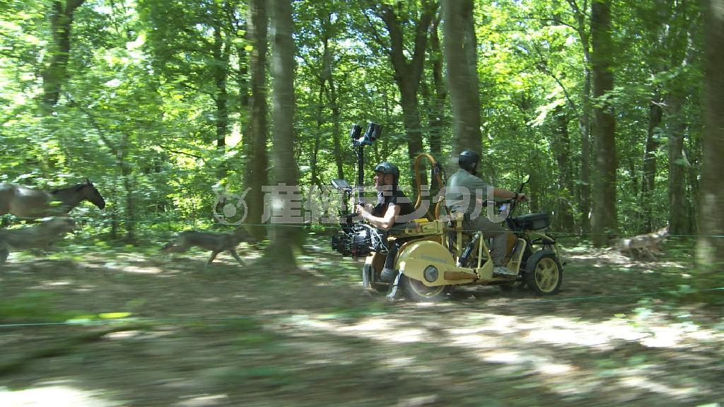 駆動音を極力抑えた特製バギーで迫力ある映像を撮影することができた（Ｐ２提供）。（Ｃ）２０１５＿Ｇａｌａｔｅｅ＿Ｆｉｌｍｓ－Ｐａｔｈｅ＿Ｐｒｏｄｕｃｔｉｏｎ－Ｆｒａｎｃｅ＿２＿ＣｉｎＥｍａ－Ｐａｎｄｏｒａ＿Ｆｉｌｍ－Ｉｎｖｅｓｔ＿Ｉｍａｇｅ＿３－Ｒｈｏｎｅ－Ａｌｐｅｓ＿Ｃｉｎｅｍａ－Ｗｉｎｄｓ－Ｐｉｅｒｒｅ＿ｅｔ＿Ｖａｃａｎｃｅｓ