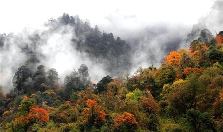 中国四川省成都市の南西約２００キロに位置する眉山市洪雅県にある瓦屋山国家森林公園。四季の風景が美しく自然生態保護もなされており、自然体験旅行の聖地になっているという（中国新聞社）