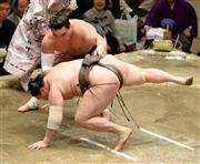 白鵬（手前）は立ち合いで日馬富士（はるまふじ）に左上手を許すと、もろくも前に崩れた＝２０１６年１月２４日、東京都墨田区の両国国技館（今野顕撮影）