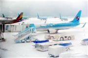 韓国の済州（チェジュ）国際空港も、積雪と強風のため２３日夕から２５日午後まですべての航空便が全て結構になった＝２０１６年１月２４日（ロイター）