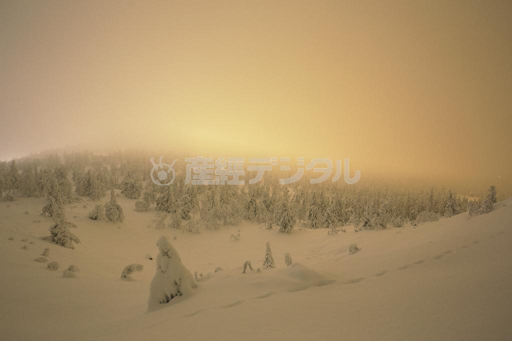 日本の“かんじき”のようなスノーシューズを履いて、雪深い森の中へ。午後３時を過ぎると、早くも日没が迫ってくる＝２０１５年１１月１８日、フィンランド・クーサモ（倉谷清文さん撮影）