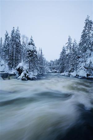北欧ラップランドの旅は真冬がお薦め。穏やかで壮大な自然が旅人たちを出迎えてくれる＝２０１５年１１月１８日、フィンランド（倉谷清文さん撮影）