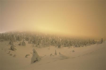 日本の“かんじき”のようなスノーシューズを履いて、雪深い森の中へ。午後3時を過ぎると、早くも日没が迫ってくる=2015年11月18日、フィンランド・クーサモ(倉谷清文さん撮影)