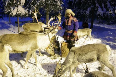 トナカイ牧場で人懐こいトナカイたちと戯れたひとときも、旅のいい思い出に=2015年11月18日、フィンランド・クーサマ(倉谷清文さん撮影)