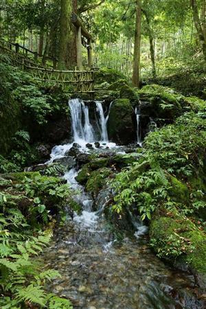 天徳寺境内奥の「瓜割（うりわり）の滝」は環境省選定の「名水百選」に選ばれ、県外からも水を汲みにくる人が絶えない＝２０１５年１０月２８日、福井県三方上中郡若狭町（倉谷清文さん撮影）