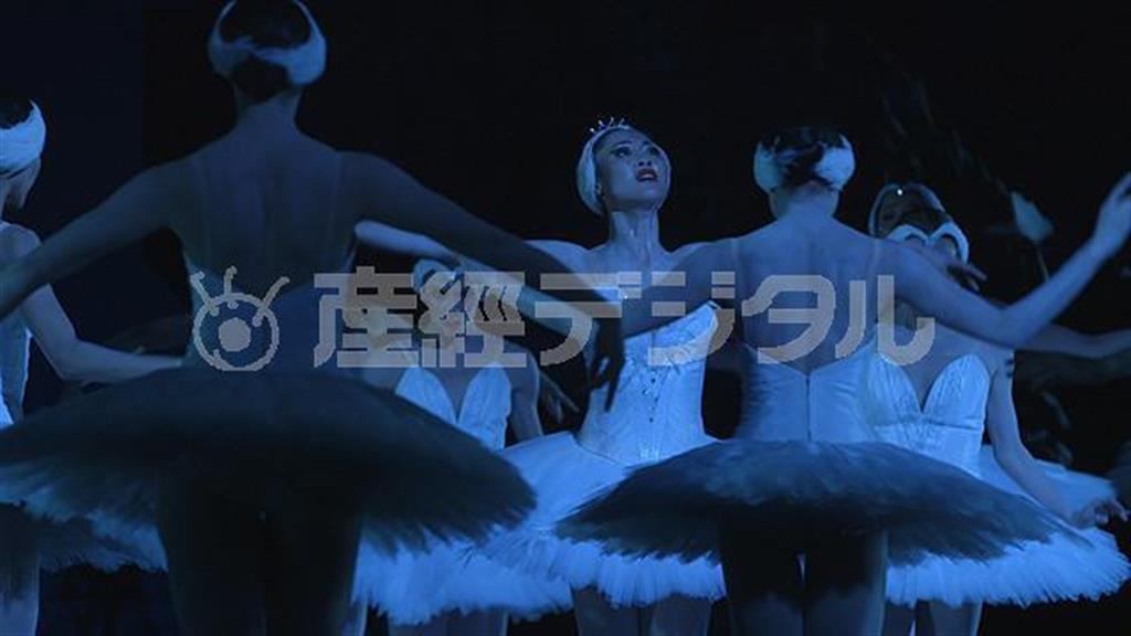 【メディアトリガーｐｌｕｓ】ドキュメンタリー映画「Ｍａｉｋｏ＿ふたたびの白鳥」（オセ・スペンハイム・ドリブネス監督）。２月２０日公開（ミモザフィルム提供）