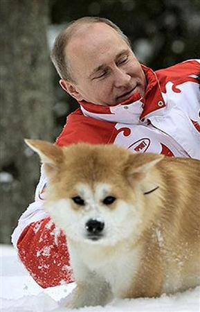 秋田県から贈られた秋田犬「ゆめ」と戯れるロシアのプーチン大統領（大統領府ホームページから）