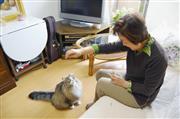 高齢者向け集合住宅でネコと暮らす北尾可代子さん＝埼玉県ふじみ野市