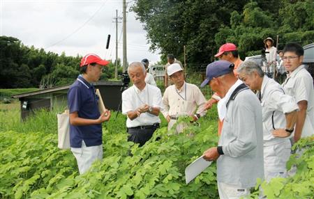 東京生薬協会の指導を受け、青葉山で薬草栽培に取り組む住民ら＝２０１５年８月、福井県高浜町