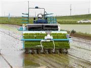 初心者でもまっすぐに苗を植えることができる＝２７日、千葉県柏市の沼南ファーム