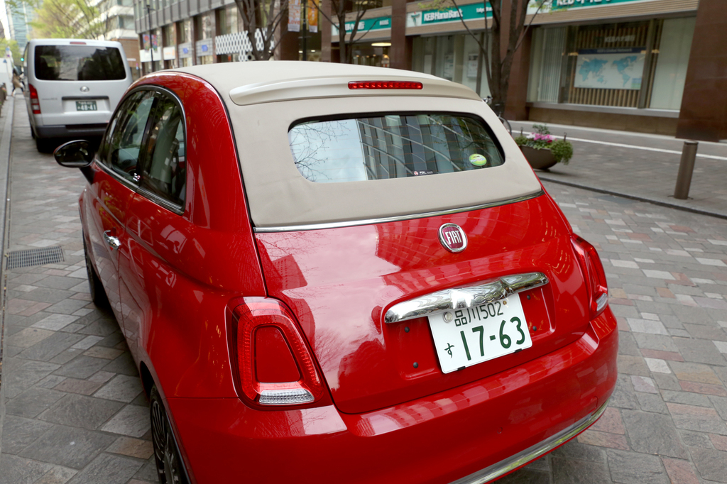 うしろ姿も可愛いです