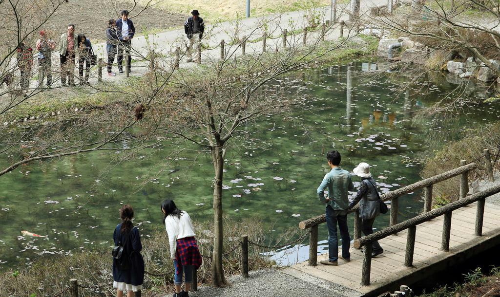 連日多くの観光客が訪れる“モネの池”
