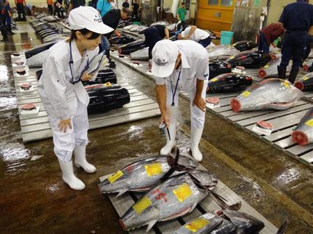 国内から大量に入荷する生のまぐろをチェックする検査員ら（東京都市場衛生検査所提供）