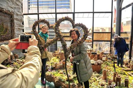 中国で「花の都」とも呼ばれる雲南省昆明市にある同国最大の花卉市場、斗南花卉市場にある多肉植物コーナーで写真を撮る人たち。近年、中国では多肉植物が人気となっている（中国新聞社）