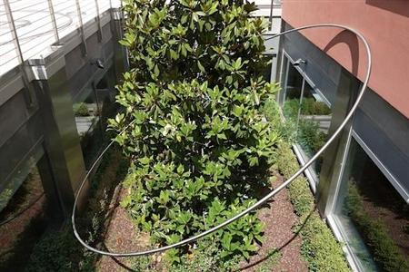 Satoshi Hirose, Senza titolo (13 Anelli), 2016. Acciaio. ca. 1000 x 1500 xh 350 cm.Courtesy Limiti inchiusi arte contemporanea, Limosano e Fondazione MoliseCultura, Campobasso.Foto: Tartaruga.  (c)2016 Satoshi Hirose All Rights Reserved.