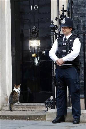 メイ政権でも留任が決まった「官邸ネズミ捕獲長」のラリー（左下）＝１３日、ロンドン（ＡＰ）