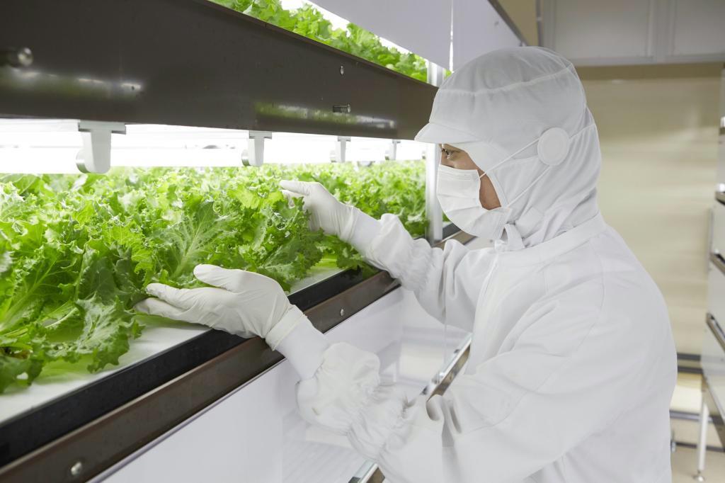 東西線高架下の植物工場。日産４００株のペースで野菜を水耕栽培している＝東京都江戸川区