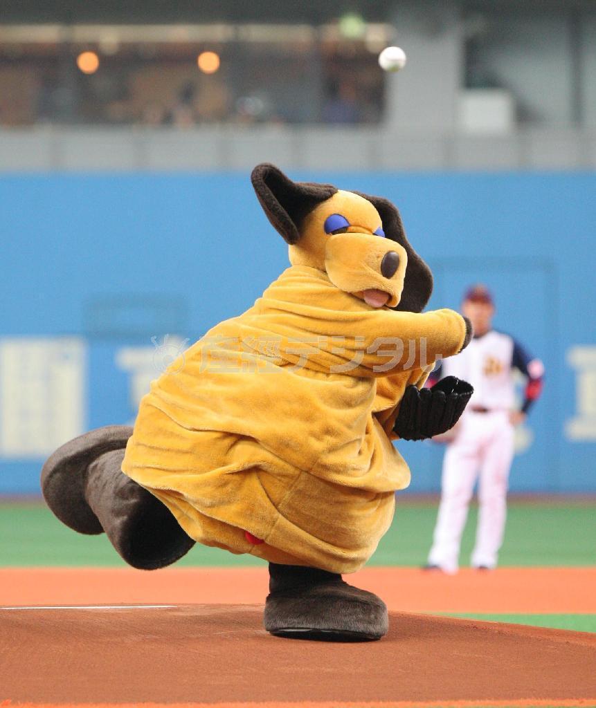 フジテレビ系「さんまのまんま」の人気キャラクター、まんまちゃん。オリックス戦の始球式にも登板した＝京セラドーム大阪（浜坂達朗撮影）