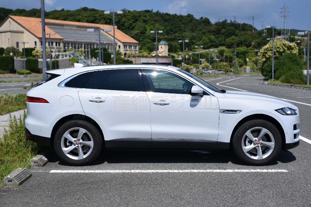 ロングノーズと傾斜のきついリアハッチが、停まっている時にもスピードを感じさせる。ジャガー・Ｆ－ＰＡＣＥ