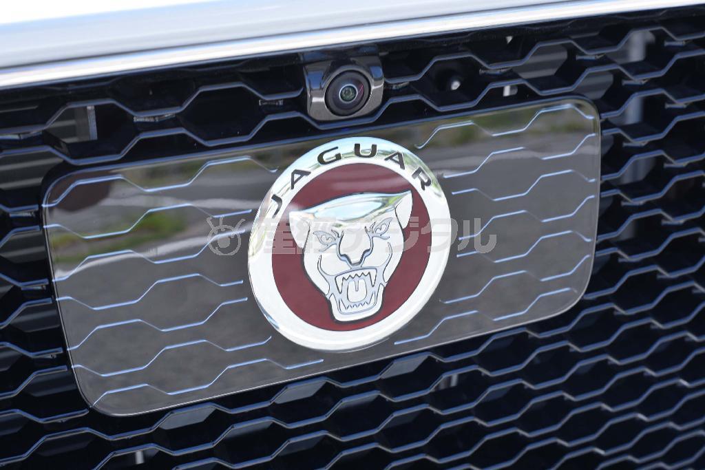 エンブレムの奥に非常ブレーキ＆クルーズコントロール用のセンサー。上部には死角を映し出すカメラ。ジャガー・Ｆ－ＰＡＣＥ