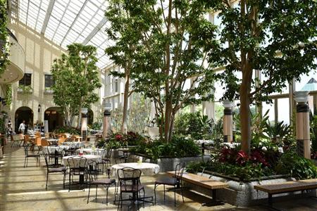 中に入ると採光窓からさんさんと日光が降り注ぐガラス張りのテラス。ジャガー・Ｆ－ＰＡＣＥ