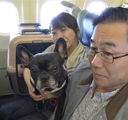全日空グループが試験的に実施した、客室に愛犬を同伴させて空の旅を楽しめるツアー＝５月２０日