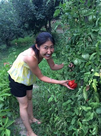 畑のトマト（ｃ）脇田まや