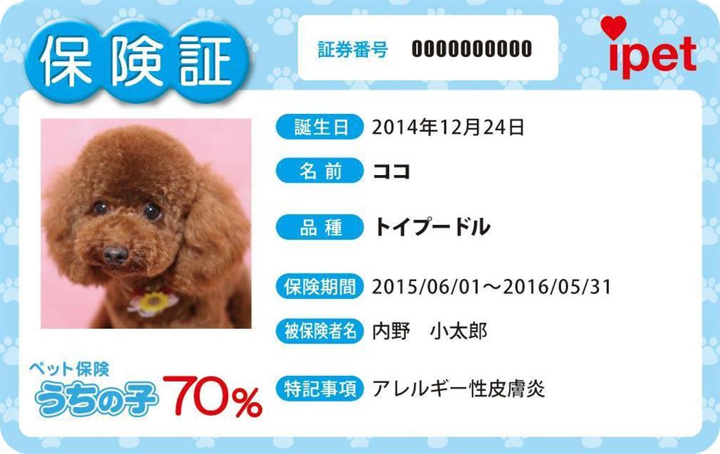 アイペット損保が加入者に交付する「保険証」（写真は見本）