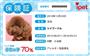アイペット損保が加入者に交付する「保険証」（写真は見本）